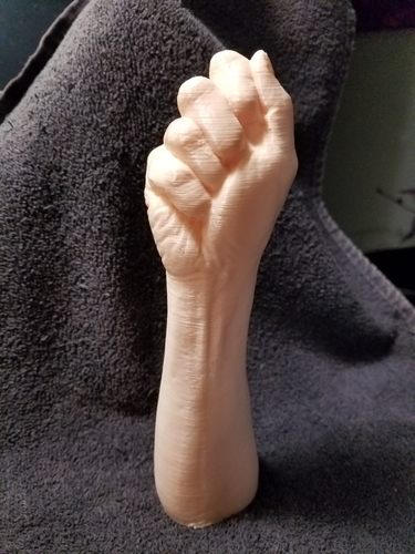 "Fist" of Fury, or Human Arm. Yea, that's it. 3D Print 169309