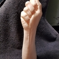 Small "Fist" of Fury, or Human Arm. Yea, that's it. 3D Printing 169309