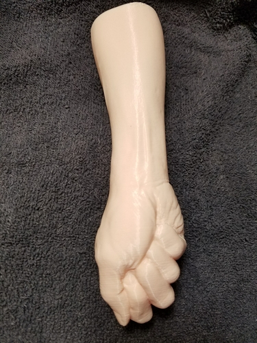 "Fist" of Fury, or Human Arm. Yea, that's it. 3D Print 169310