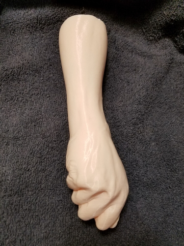 "Fist" of Fury, or Human Arm. Yea, that's it. 3D Print 169311