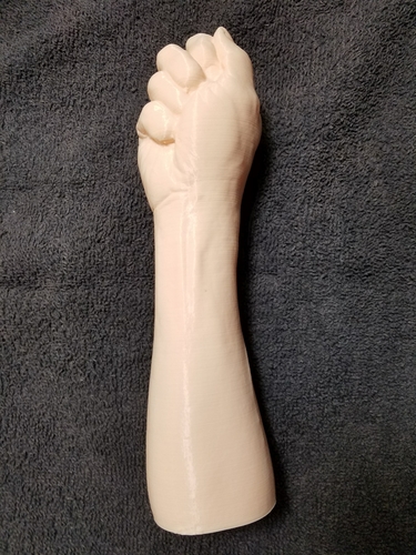 "Fist" of Fury, or Human Arm. Yea, that's it. 3D Print 169312