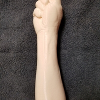 "Fist" of Fury, or Human Arm. Yea, that's it. - Thumbnail 4