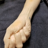 "Fist" of Fury, or Human Arm. Yea, that's it. - Thumbnail 5