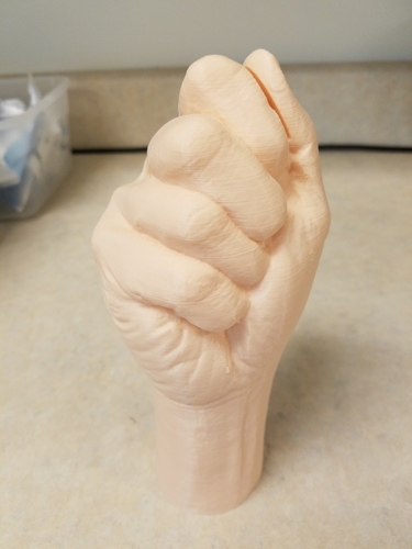 "Fist" of Fury, or Human Arm. Yea, that's it. 3D Print 169315