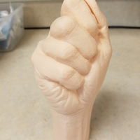 "Fist" of Fury, or Human Arm. Yea, that's it. - Thumbnail 7