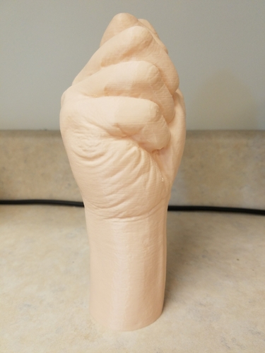 "Fist" of Fury, or Human Arm. Yea, that's it. 3D Print 169316