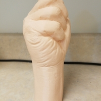 "Fist" of Fury, or Human Arm. Yea, that's it. - Thumbnail 8