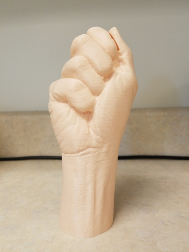"Fist" of Fury, or Human Arm. Yea, that's it. 3D Print 169317