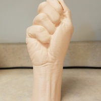 "Fist" of Fury, or Human Arm. Yea, that's it. - Thumbnail 9