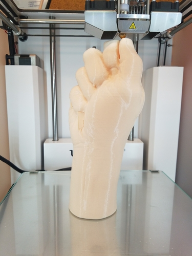 "Fist" of Fury, or Human Arm. Yea, that's it. 3D Print 169318