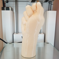"Fist" of Fury, or Human Arm. Yea, that's it. - Thumbnail 10