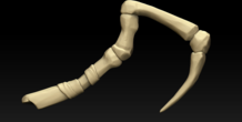 Image 170255
