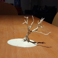 Wanaka Tree - Thumbnail 1