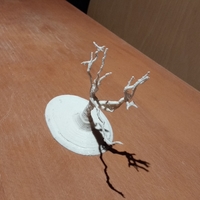 Wanaka Tree - Thumbnail 2