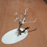 Wanaka Tree - Thumbnail 3