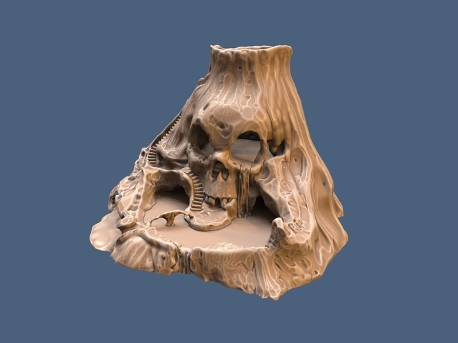 Skull Island 3D Print 170881