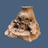 Skull Island - Thumbnail 5