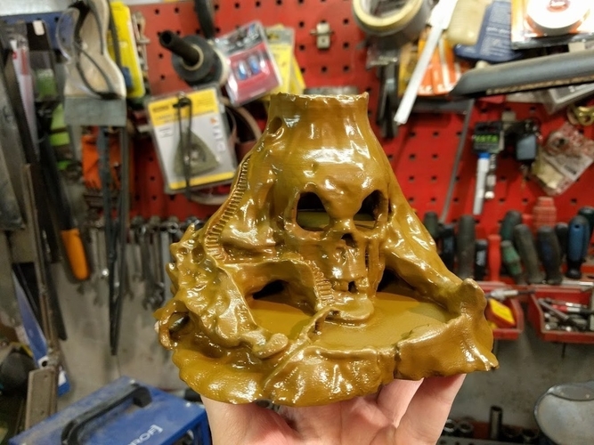 Skull Island 3D Print 170883