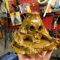 Skull Island - Thumbnail 7