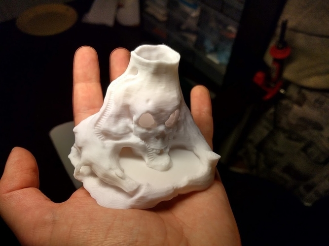Skull Island 3D Print 170885