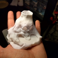 Skull Island - Thumbnail 9