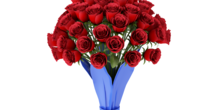 Image 170993