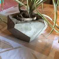 molde maceta dodecaedro - Thumbnail 2