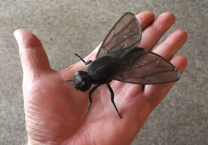 Big Fly. 3D Print 171431
