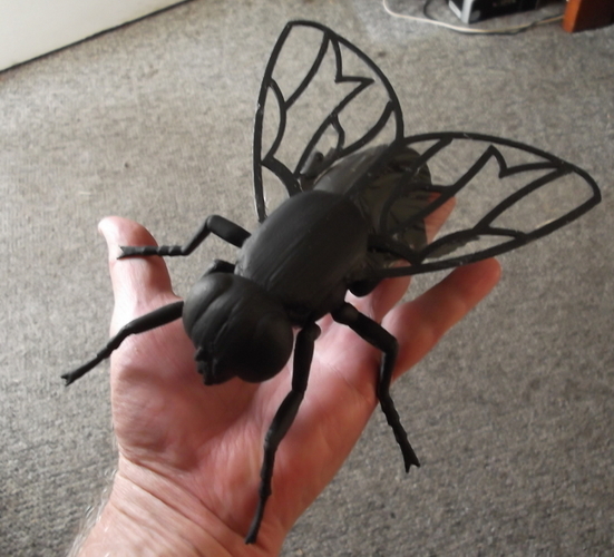Big Fly. 3D Print 171432