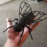 Big Fly. - Thumbnail 2