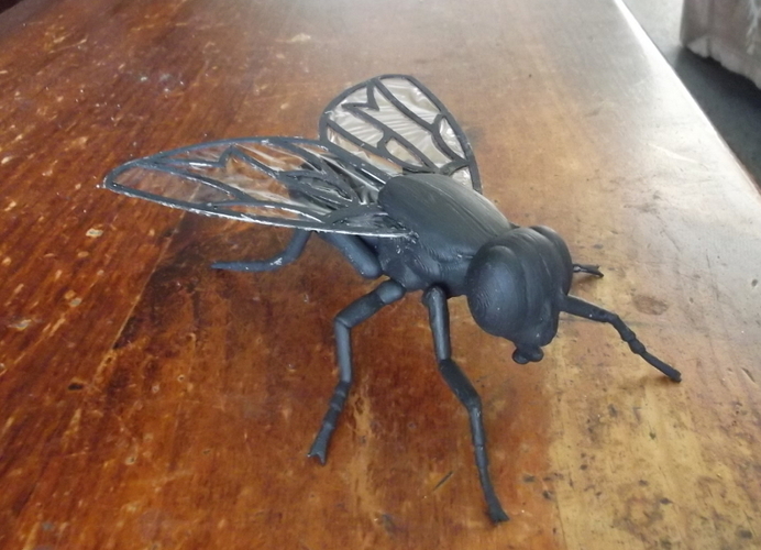 Big Fly. 3D Print 171433