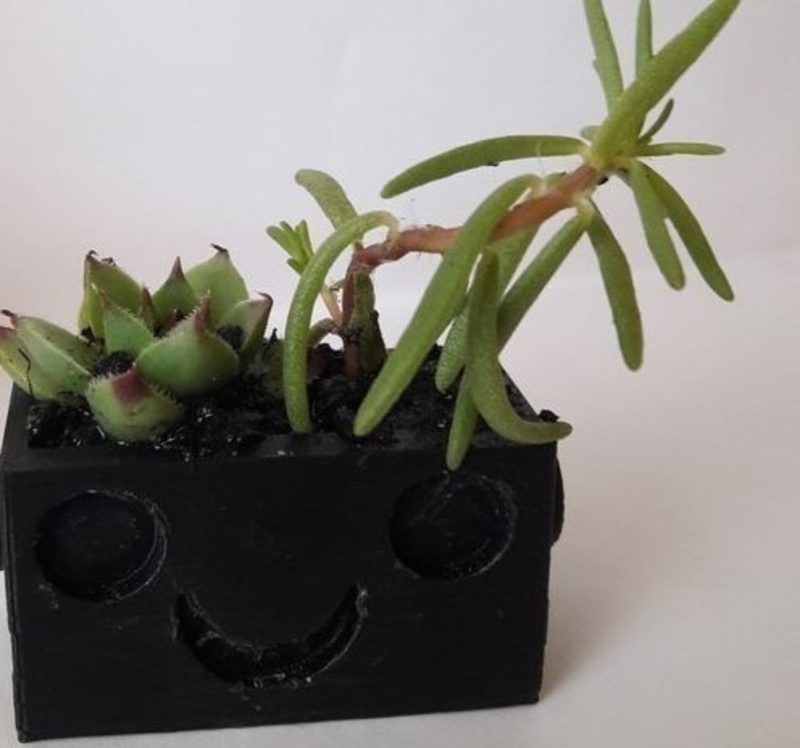 BIO - FLOWERPOT