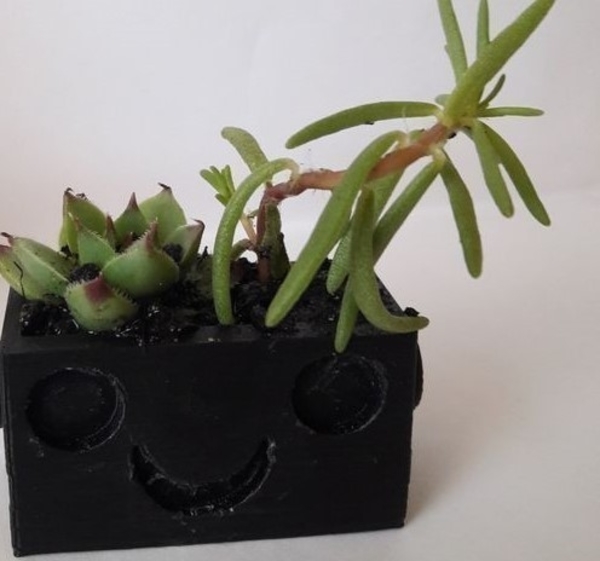BIO - FLOWERPOT
