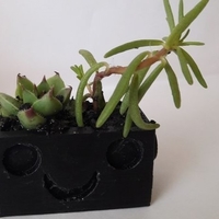 BIO - FLOWERPOT - Thumbnail 1