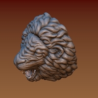 Lion head - Thumbnail 7