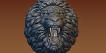 Image 172059