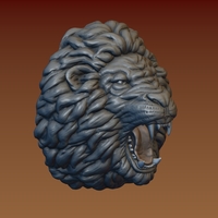 Lion head - Thumbnail 19