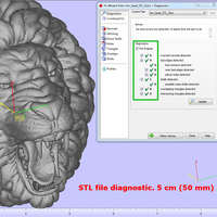 Lion head - Thumbnail 24