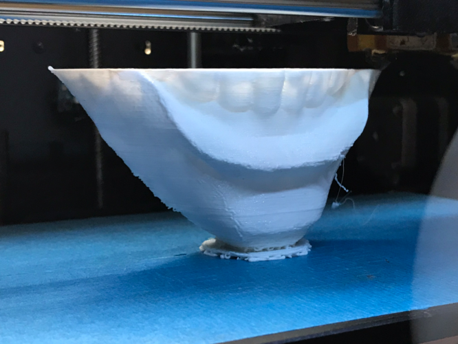 Twisty 3D Print 172241