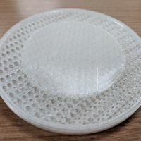 Lattice Coaster - Thumbnail 2