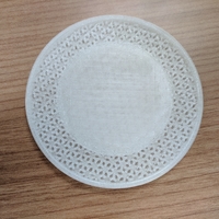 Small Lattice Coaster 3D Printing 172821