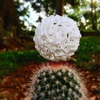 Acupuncture Stress Ball: Alphabet/Typography - Thumbnail 2