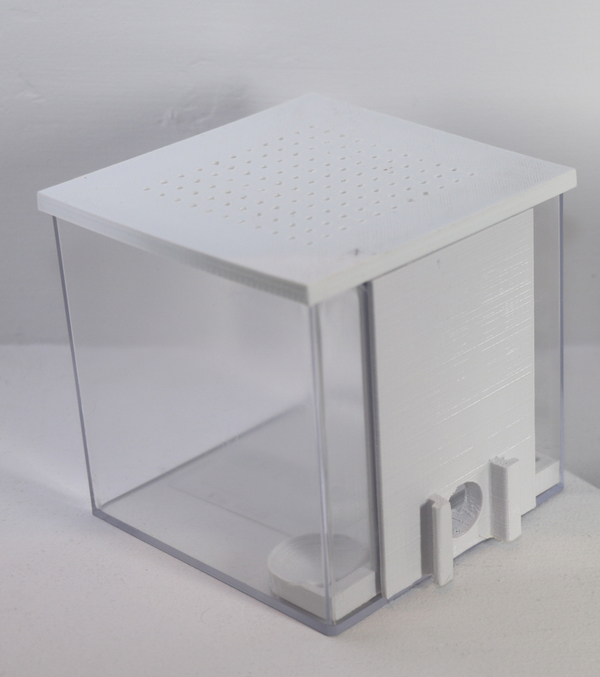 Standard Arena for our modular formicarium / ant farm