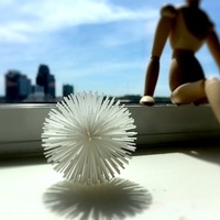 Acupuncture Stress Ball: Sea Urchin - Thumbnail 3