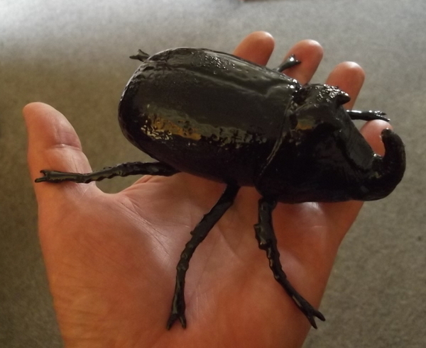 Big Beetle