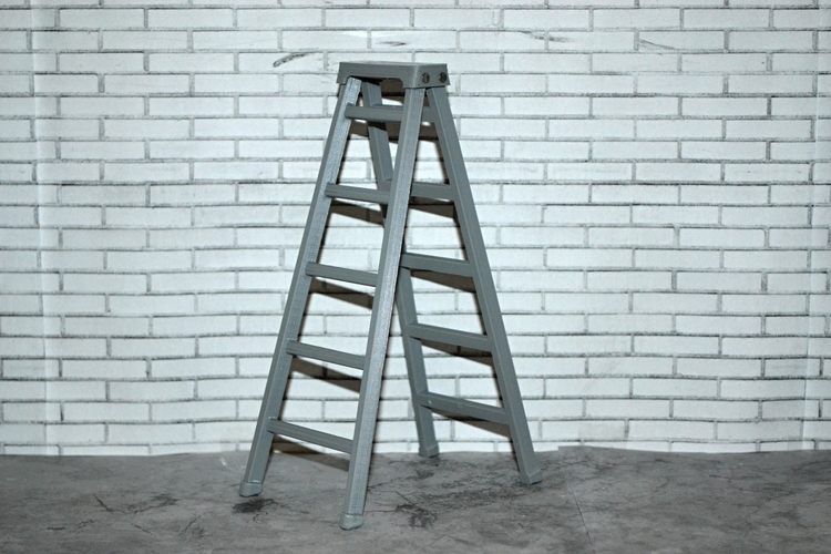 Scale 1/10 ladder