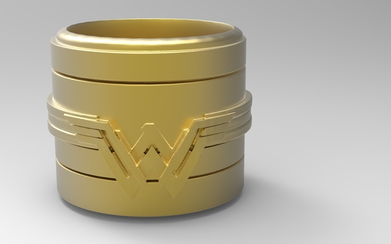 Wonder Woman Container