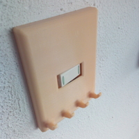 light switch cover  - Thumbnail 1
