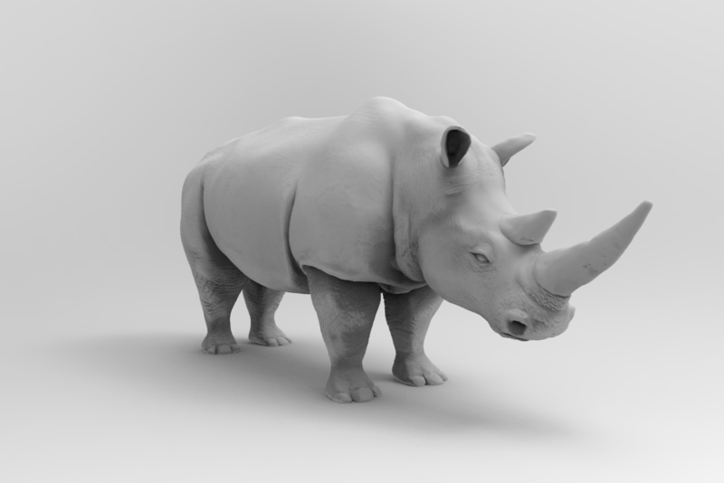Rhinoceros