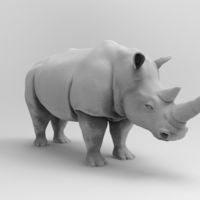 Rhinoceros - Thumbnail 1